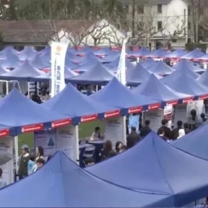 春招市场升温，“00后”求职偏好啥？